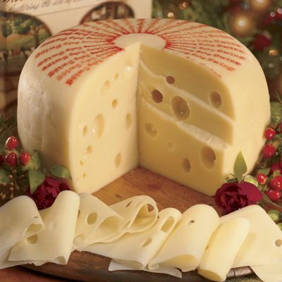 swiss cheese colony baby
