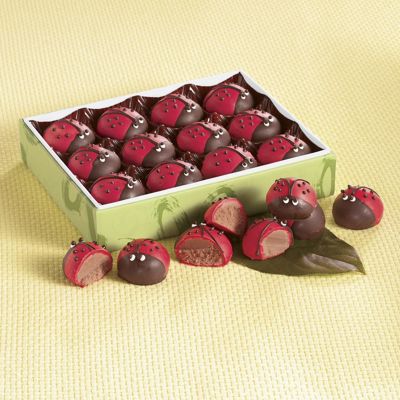 Ladybug Truffles
