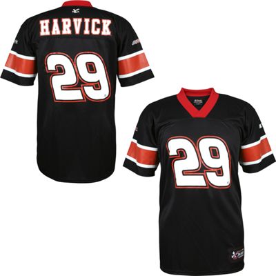 Kevin Harvick #29...