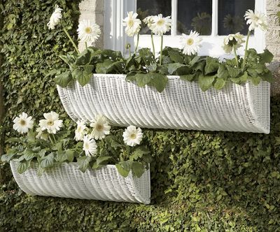 Basket Planter