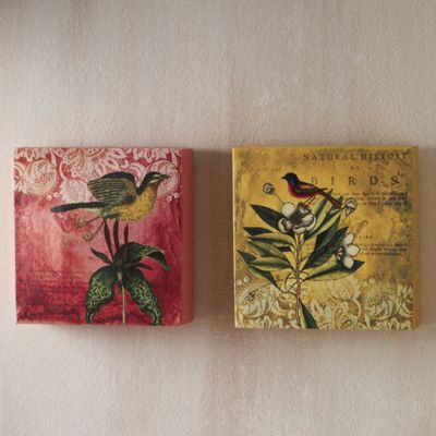 Set of 2 Bird...