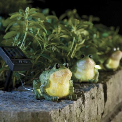 Solar Lights, Frogs...