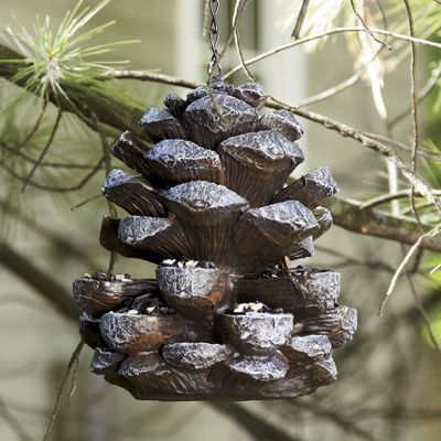 Pinecone Bird Feeder