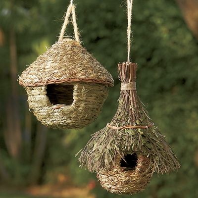 Natural Round Hut...