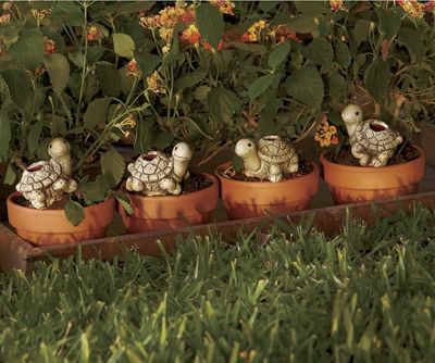 Set of 4 Turtle...