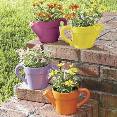 Watering Can Flower...