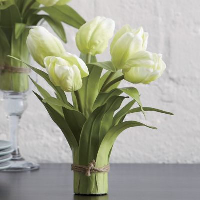 Set of 2 Tulip...