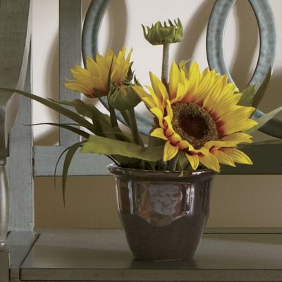 Sunflower Floral