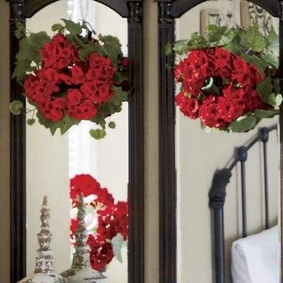 Set of 2 Geranium...
