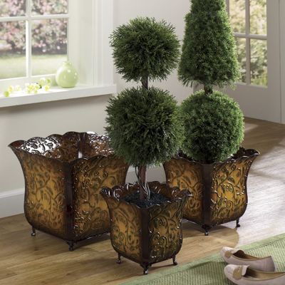 Planters, Battista 3...