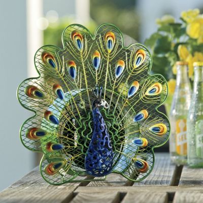 Peacock Fan