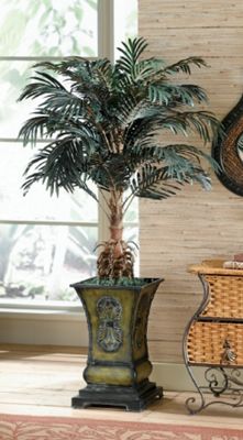 Cycas Palm in...