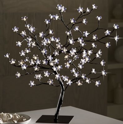 Bonsai Blossoms Tree