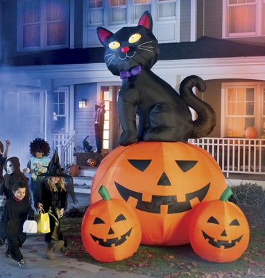 12-Foot Black Cat...