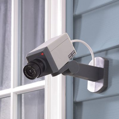 Motion Detector Faux...