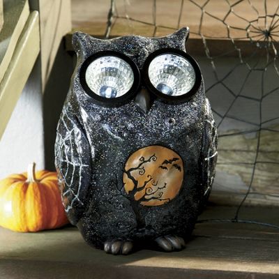 Solar Owl