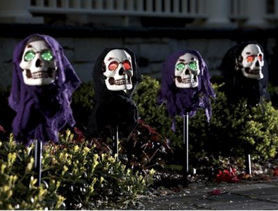 Set of 4 Skull...