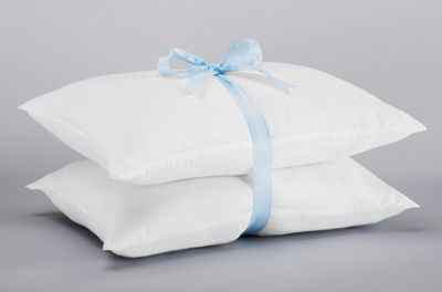 Set of 2 Memory Loft Classic Pillows