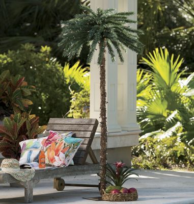 Palm Tree With...