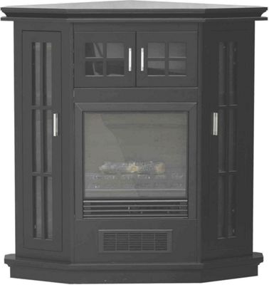 Fireplace with Doors