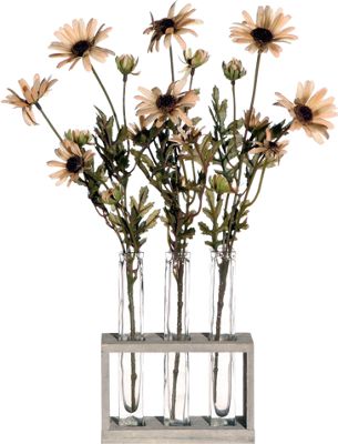 Daisy Tubes with...