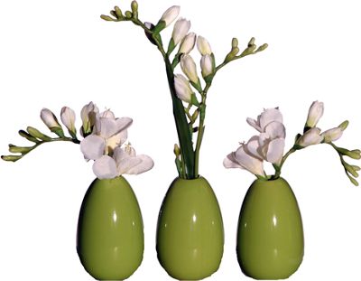 Freesia in Green...