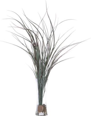 Tall Grass in...