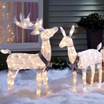 Animated Deer
