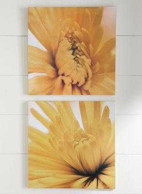 set of 2 floral prints