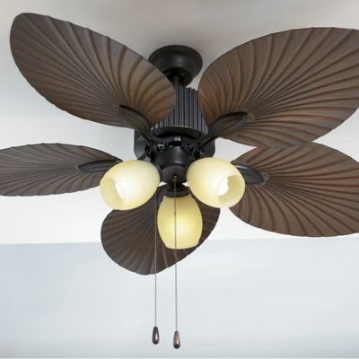 casablanca ceiling fan